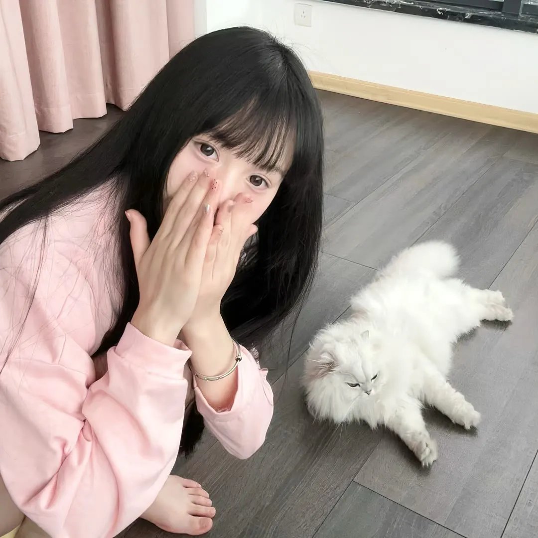 胡狼来了